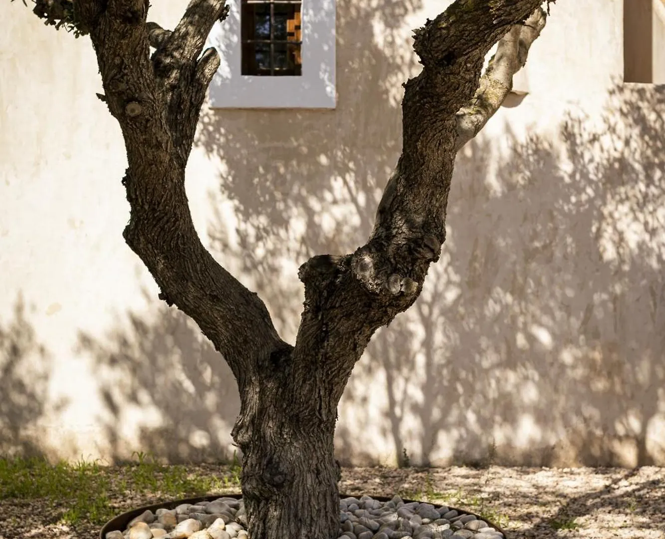 Can Noves - Villa De 4 Suites 35 Y 52 San Francisco Javier